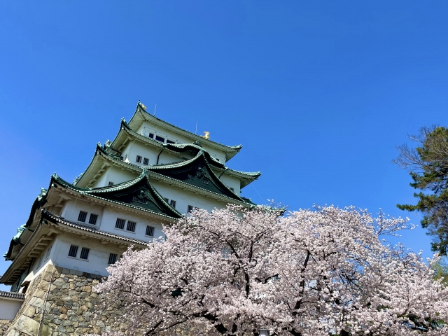 観光協会・自治体の「地域資料」を観光資源へ。古写真・パンフレットのスキャン活用術